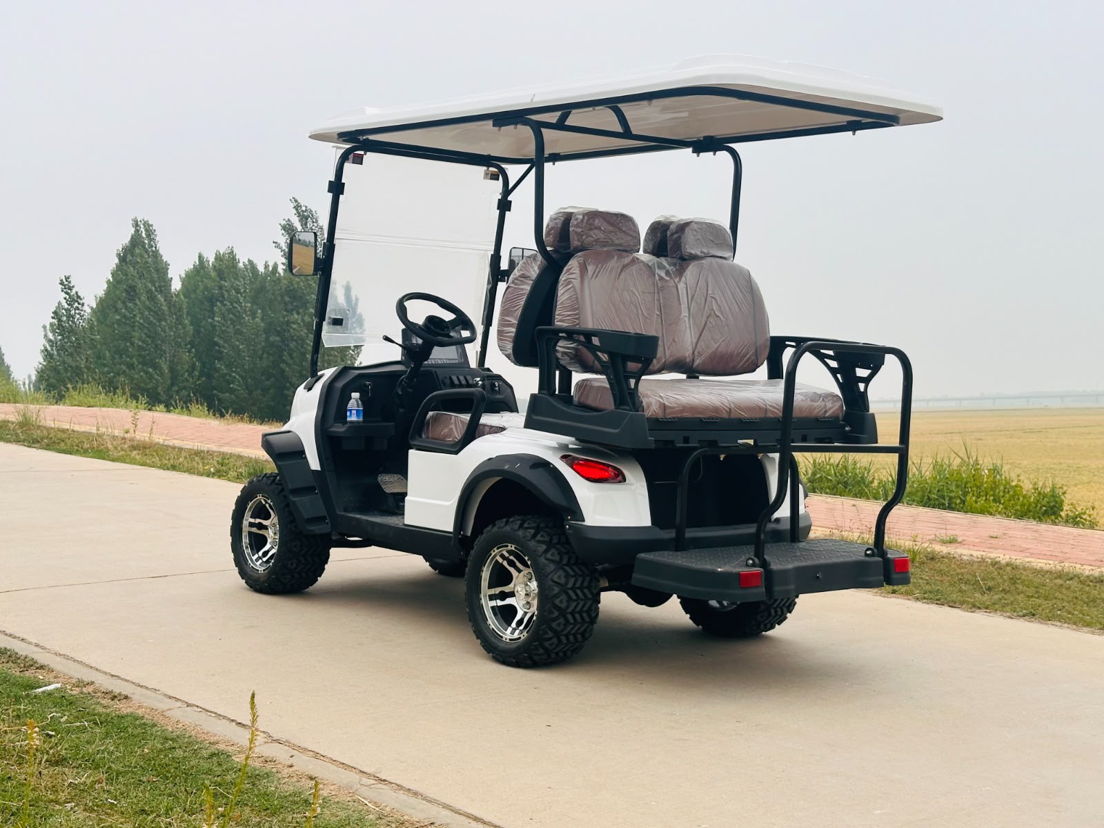 2+2 Seater Golf Cart – Rear Angle