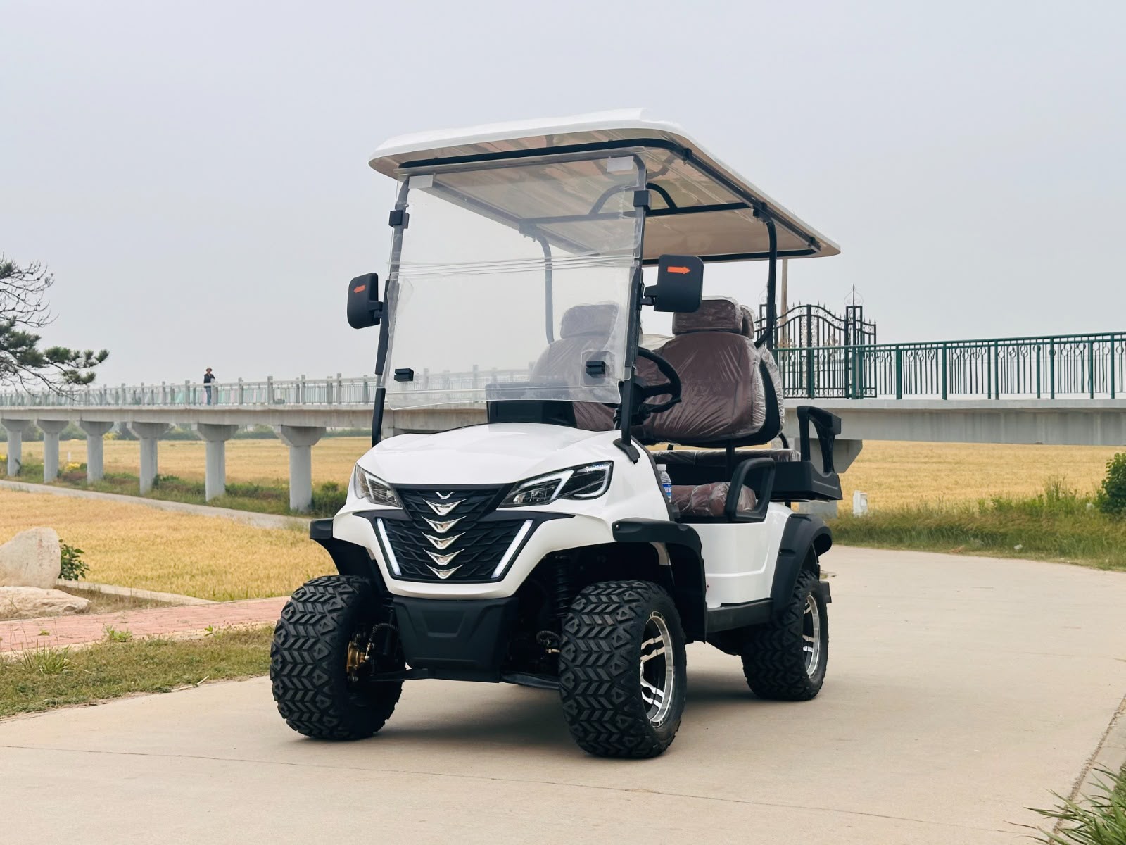 2+2 Seater Golf Cart – White, Front View