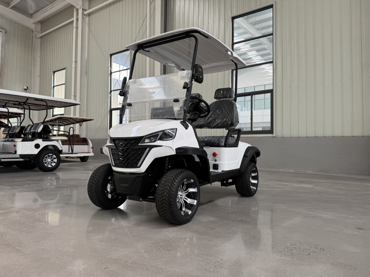 2-Seater Golf Cart